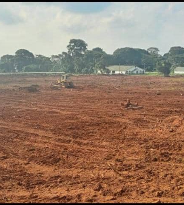 WhatsApp Image 2024-06-25 at 1.34.52 PM.jpeg